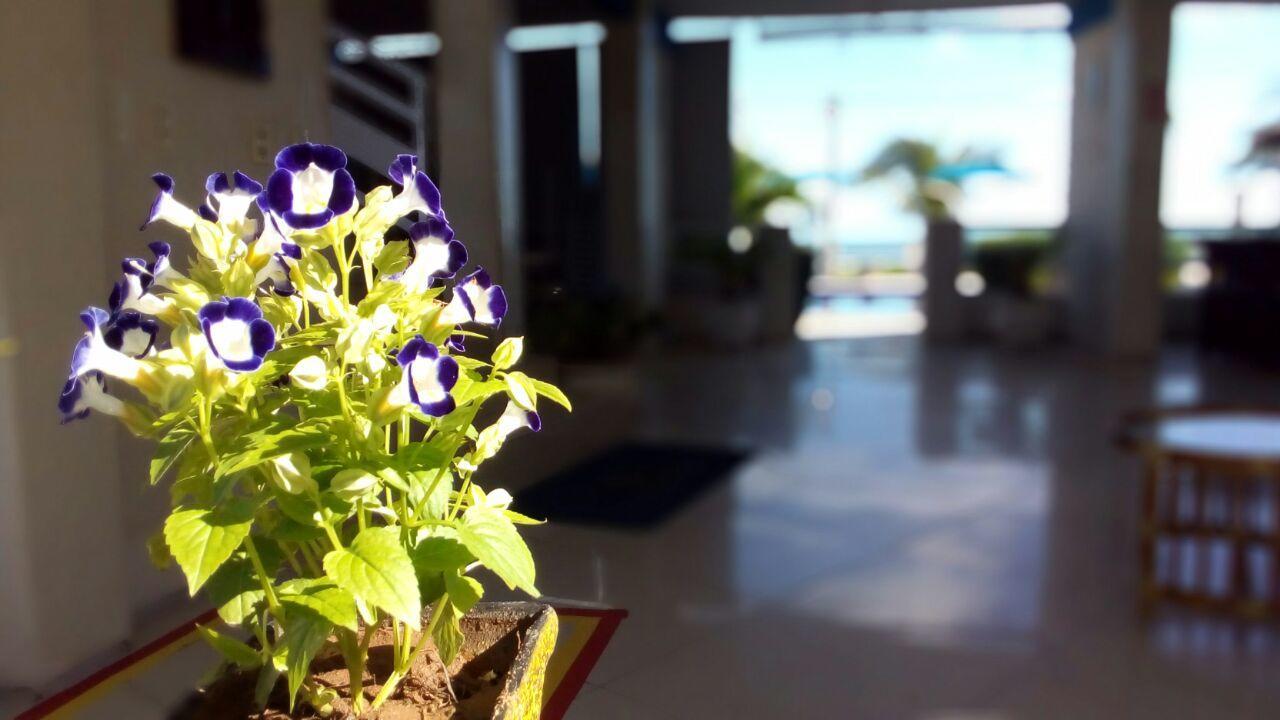 Brisa Mar Otel Flecheiras Dış mekan fotoğraf
